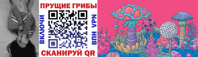 Псилоцибиновые грибы Magic Shrooms  мега tor  Юхнов 